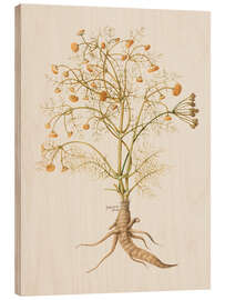 Wood print Piante Varie 29
