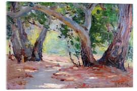 Cuadro de metacrilato Sunshine and Shade, Orange County Park, California - Anna Althea Hills