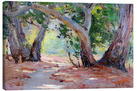 Canvas print Sunshine and Shade, Orange County Park, California - Anna Althea Hills