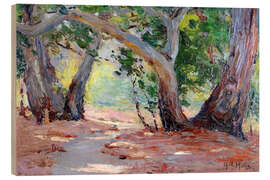 Cuadro de madera Sunshine and Shade, Orange County Park, California - Anna Althea Hills