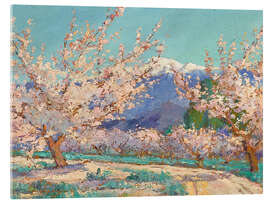 Tableau en verre acrylique Almond trees in spring, Banning, California - Anna Althea Hills