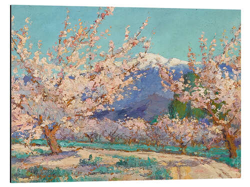 Cuadro de aluminio Almond trees in spring, Banning, California