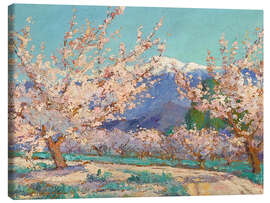 Canvastavla Almond trees in spring, Banning, California - Anna Althea Hills
