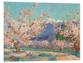 Hartschaumbild Mandelbäume im Frühling, Banning, Kalifornien