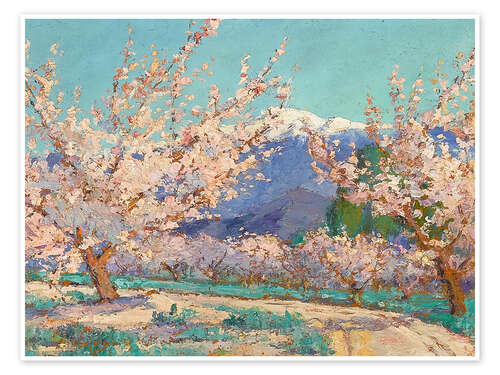 Póster Almond trees in spring, Banning, California