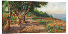 Canvas print Elm lined promenade in Euxinograd - Olga Wisinger-Florian