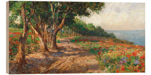 Wood print Elm lined promenade in Euxinograd