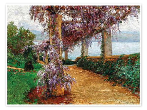 Poster A pergola covered with wisteria, Villa Haas