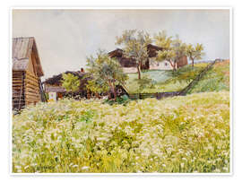 Wall print Farm houses and a white blooming field - Marie Egner