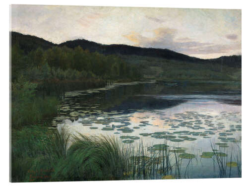 Cuadro de metacrilato Summer Night