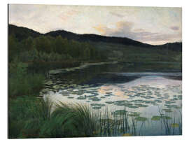 Aluminium print Summer Night - Kitty Kielland