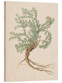 Holzbild Polio Marino - Giovanna Garzoni