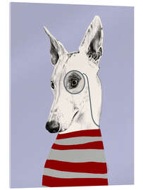 Acrylic print Greyhound with monocle