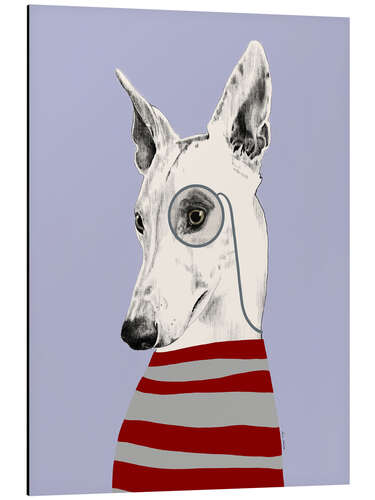 Aluminium print Greyhound with monocle