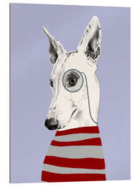 Gallery print Greyhound with monocle