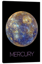 Tableau sur toile Mercury I