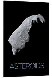 Aluminium print Asteroids II - NASA