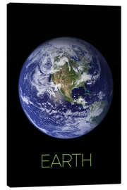 Lienzo Earth IV