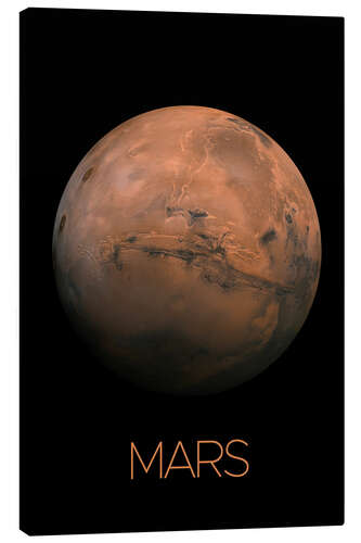 Canvas print Mars