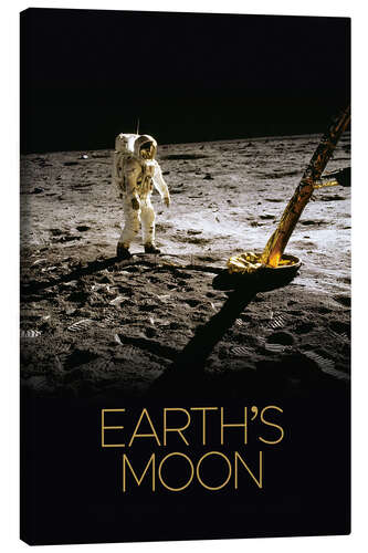 Quadro em tela The Moon Landing - Earth's Moon