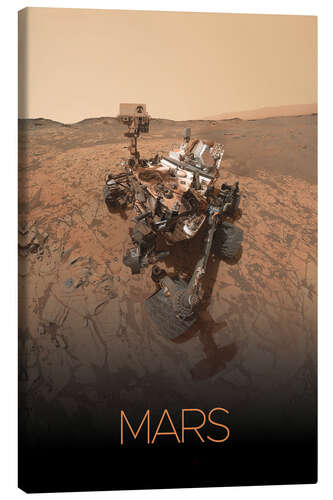 Canvas print Mars-Rover