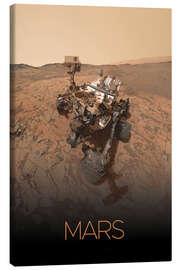 Lerretsbilde Mars-Rover - NASA