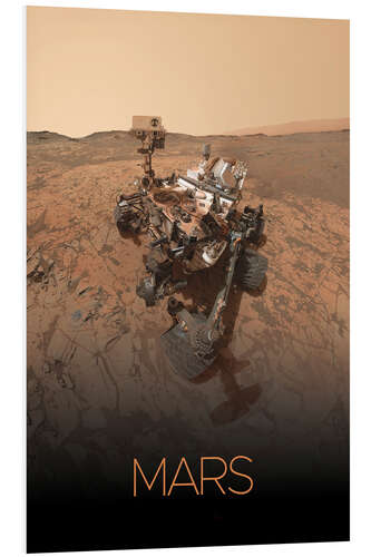 Cuadro de PVC Mars-Rover