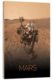 Cuadro de madera Mars-Rover - NASA