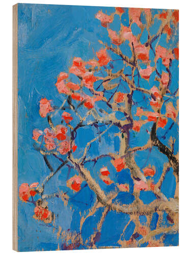 Wood print Coral Tree in Blossom, 1910