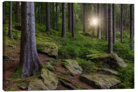 Leinwandbild Sonne im erzgebirgischen Wald, Sachsen - Moqui, Daniela Beyer