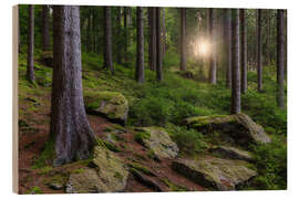Wood print Sun in the Erzgebirge Forest, Germany - Moqui, Daniela Beyer