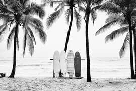 Magnettafel The Boards