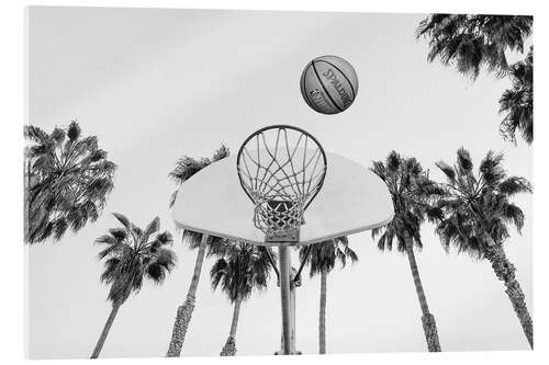 Obraz na szkle akrylowym Basketball and Palm Trees