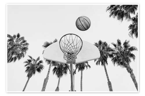 Póster Basketball and Palm Trees