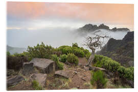 Cuadro de metacrilato Pure nature on Madeira - Michael Valjak