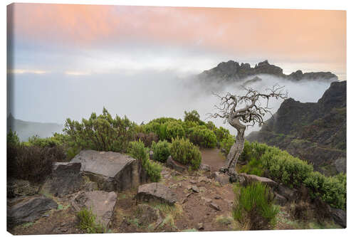 Canvas print Pure nature on Madeira
