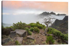 Canvas print Pure nature on Madeira - Michael Valjak