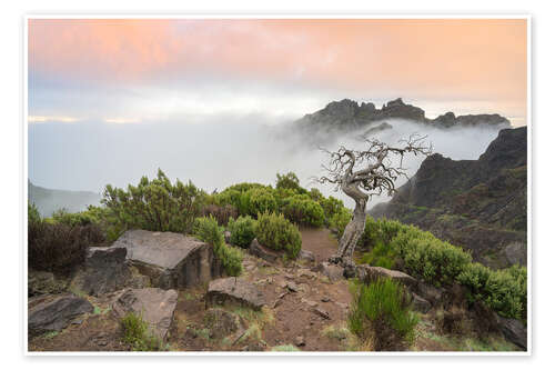 Poster Pure nature on Madeira