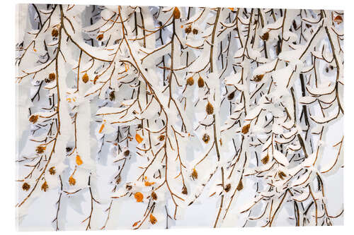 Acrylic print Winter ice curtain
