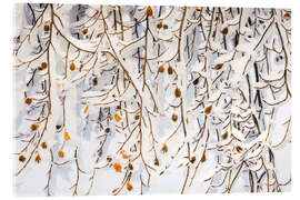 Acrylic print Winter ice curtain - Moqui, Daniela Beyer
