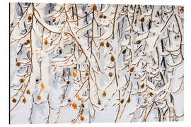 Alubild Wintervorhang