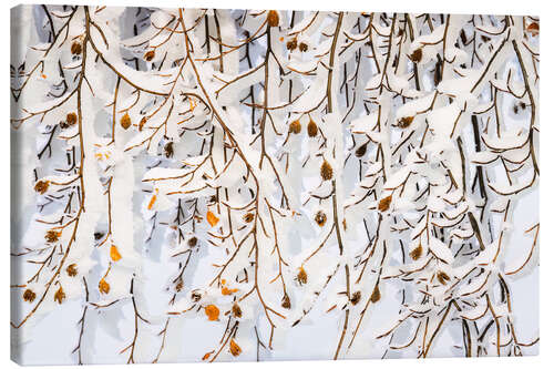 Tableau sur toile Winter ice curtain