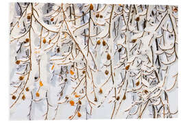 Hartschaumbild Wintervorhang