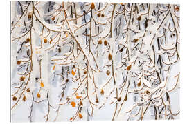 Gallery Print Wintervorhang