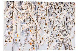 Magnettafel Wintervorhang