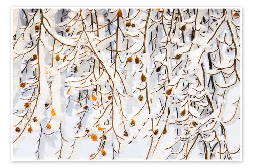 Poster Winter ice curtain