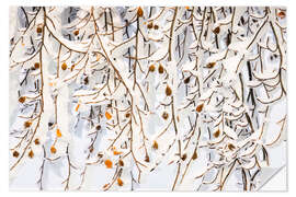 Wandsticker Wintervorhang