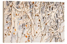 Wood print Winter ice curtain - Moqui, Daniela Beyer