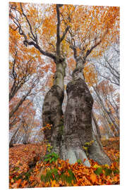 Hartschaumbild Zusammen