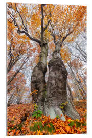 Gallery Print Zusammen